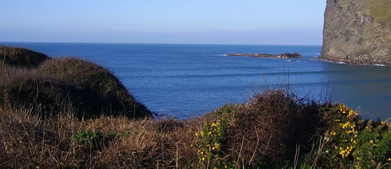 Trevean Cottage, Higher Crackington Haven, Bude, North Cornwall, holiday cottage rental, sea views